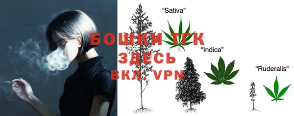 спиды Арсеньев