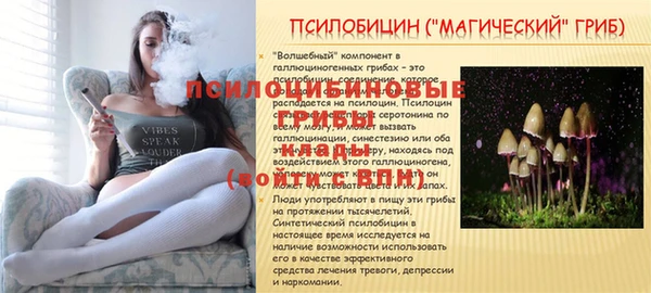 спиды Арсеньев