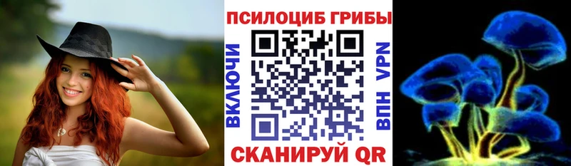 закладки  Пустошка  Псилоцибиновые грибы мухоморы 